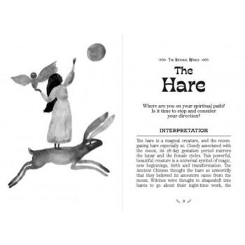 The Witch's Shadow Work Oracle kortos Watkins Publishing